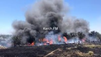 В Крыму с марта прогнозируют вероятность лесных пожаров