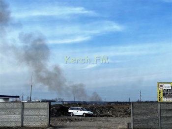 Ты репортер: В районе улицы Полевая в Керчи горит сухостой