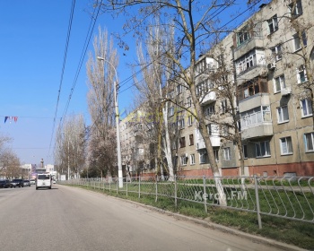 Новости » Коммуналка: Над дорогой на ул.Еременко в Керчи свисает сломанная ветка