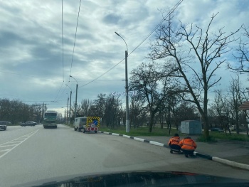 Новости » Общество: В Керчи красят бордюры и белят деревья