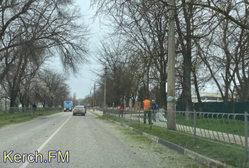 В Керчи на Кирова коммунальщики косят траву