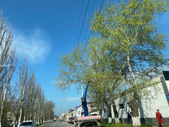 Новости » Общество: Вдоль дороги на Еременко пилят деревья