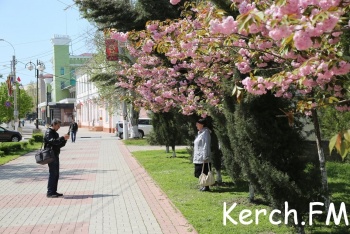 Новости » Общество: В Крыму в начале мая температура воздуха повысится до 28 градусов