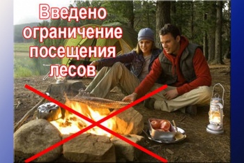 С 30 апреля в Крыму введен особый противопожарный режим