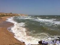 Новый природный заказник «Казантипский морской» создадут в Крыму