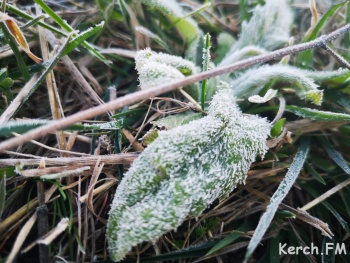 В МЧС предупреждают о заморозках в Крыму