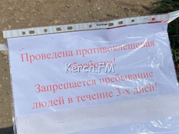 Новости » Общество: На пляже «Черепашка» и в Комсомольском парке начали травить клещей
