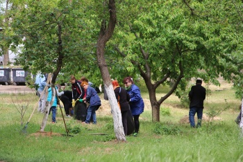 С зарослями травы в Керчи борются коммунальщики и бюджетники