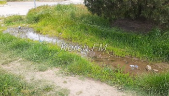Новости » Общество: Очередное озеро появилось на клумбе в Керчи около месяца назад