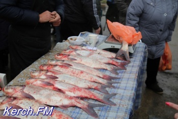 Новости » Общество: В Черном море снизились уловы рыбы