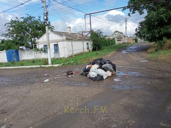 Новости » Общество: Жители Японки в Керчи устроили мусорный перфоманс