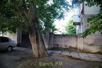 Новости » Криминал и ЧП: Что быстрее в Керчи: дерево упадет или газопровод лопнет?