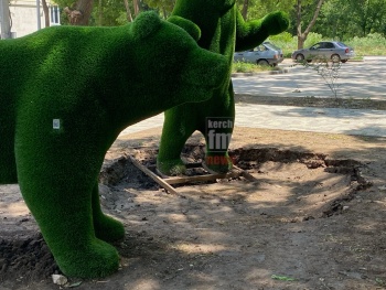 Новости » Общество: В Керченском Дворце Пионеров медведи приступили к строительству берлоги