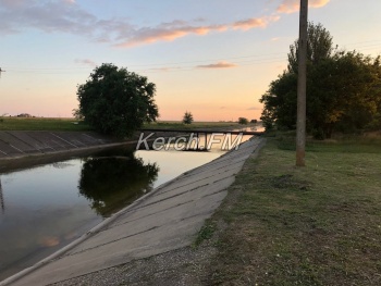 В Северо-крымском канале стало больше воды и цвели