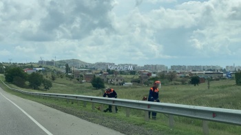 Новости » Общество: На выезде из Керчи начали косить траву