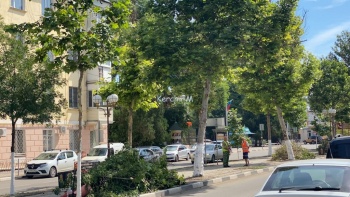 Новости » Общество: В Керчи на Пирогова приступили к кронированию деревьев
