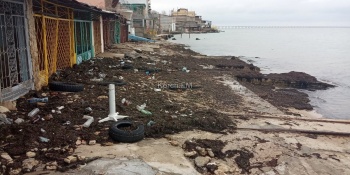 Новости » Общество: Море у берегов Крыма сможет очиститься от мусора в холодное время года
