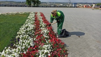 Новости » Общество: Зеленхоз Керчи ежедневно ухаживает за цветами, кустарниками и деревьями, - администрация Керчи