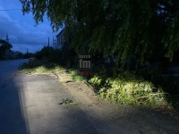 Новости » Общество: Керчане просят убрать ветки с проезжей части по дороге на городской пляж
