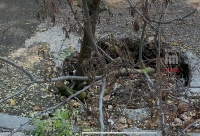 Новости » Общество: В Керчи вместо ремонта, яму на Еременко забросали ветками