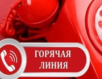 Новости » Общество: Прокуратура открывает «горячую линию» по вопросам поступления крымчан в ВУЗы