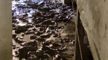 Новости » Общество: Подвалы многоэтажек на Горбульского в Керчи утопают в грязи и иле