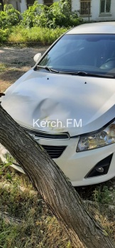 Новости » Криминал и ЧП: На «Chevrolet» в Керчи упала ветка