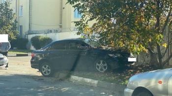 ДТП на Кирова: из-за столкновения легковушка вылетела на газон и врезалась в дерево
