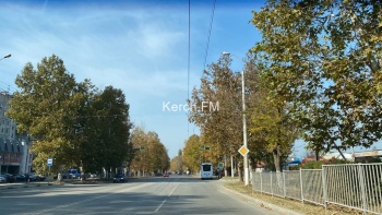 Новости » Общество: Новый светофор на Генерала Петрова в Керчи плохо видно из-за веток