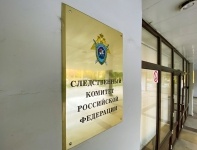 Новости » Криминал и ЧП: У крымчанки появился на свет мертворождённый ребенок, СК проверяет медиков