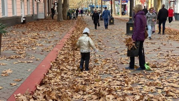 Новости » Общество: Улицы Керчи завалены опавшей листвой