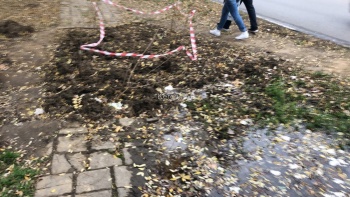 Новости » Общество: На пешеходной дорожке в районе «Парковой» появилось болото