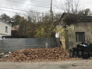 Листья с улицы Ленина убирают и складывают в кучу на соседнюю улицу