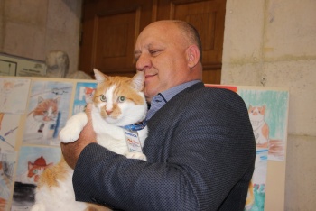 Новости » Общество: В Керчи открылась выставка «Приключения кота Мостика»