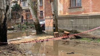 Новости » Общество: На Юных Ленинцев тополь упал на гаражи