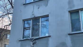 Новости » Криминал и ЧП: Огромный тополь разбил окна в многоквартирном доме Керчи
