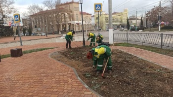 Новости » Общество: Новые розы в сквере Воссоединения работники зеленхоза подготовили к зиме