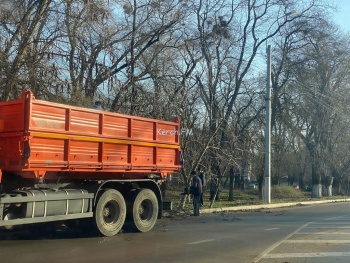 Спустя несколько недель коммунальщики решили собрать сухие ветки на Войкова