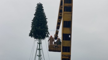 На главной новогодней елке Керчи появляются ветки