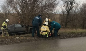 В Крыму автомобиль врезался в дерево, погибли двое