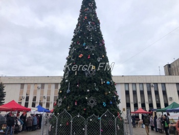 Новости » Общество: У ДК «Корабел» в Керчи установили новогоднюю елку