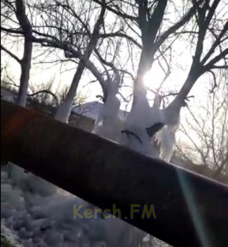 Новости » Коммуналка: Ледяной плен: порыв водовода сковал деревья вдоль речки в Керчи