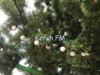 Новости » Общество: В понедельник в Керчи начнут установку новогодней елки