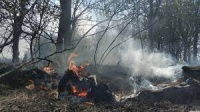 Новости » Общество: В Крыму отменили особый противопожарный режим