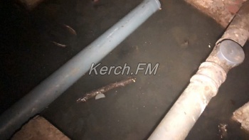 Новости » Общество: Подвал с канализацией и полчища комаров – так жители керченской многоэтажки встретили год