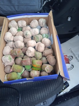 Наркодилера с двумя коробками наркотиков поймали в Керчи