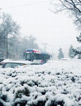 В первый день весны в Крыму выпал снег