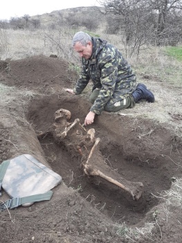 Новости » Общество: Останки советского бойца нашли поисковики под Керчью