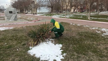 Новости » Общество: Санитарную очистку зеленых зон провели в центре Керчи