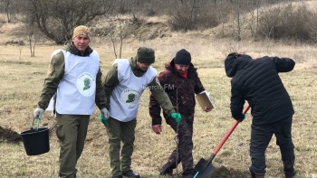 Новости » Общество: Саженцы абрикоса высадили в Крепости Керчь